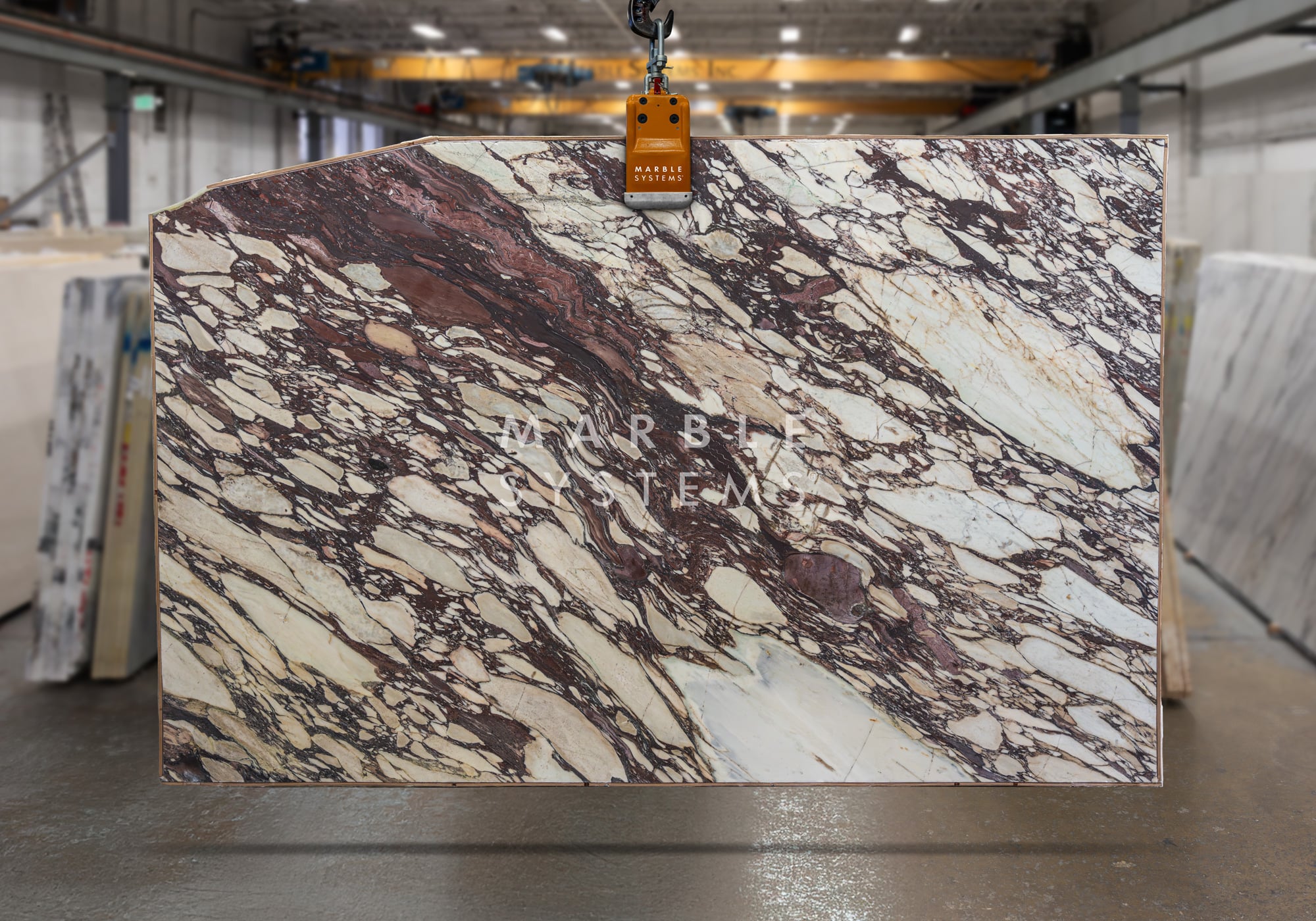 Calacatta Viola Classic Honed Marble - Premium product showcase