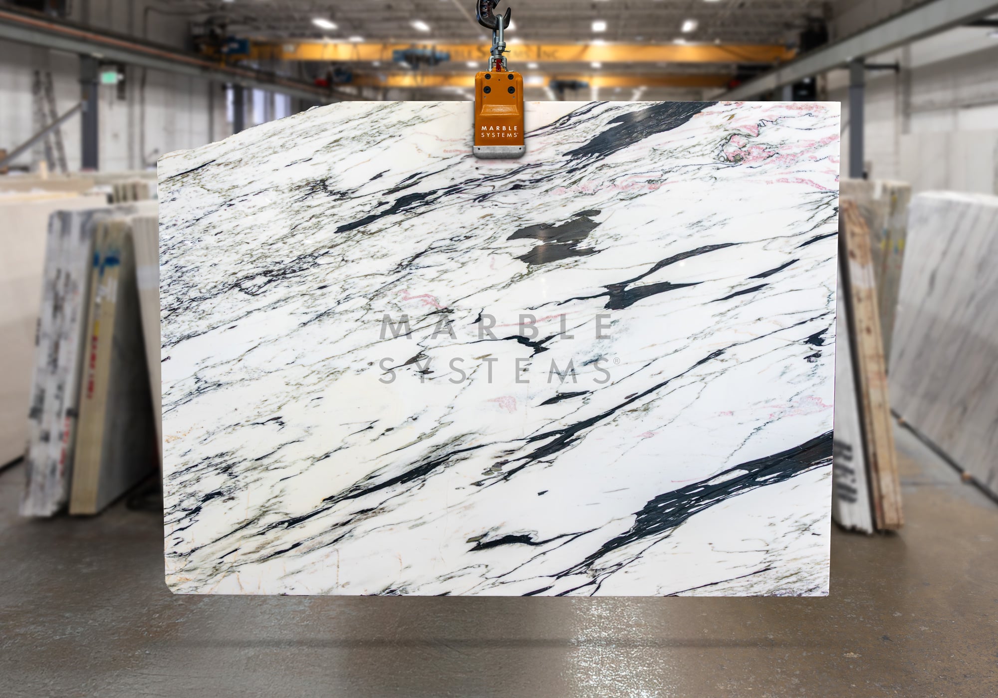 Calacatta Paonazzo Polished Marble - Premium product showcase