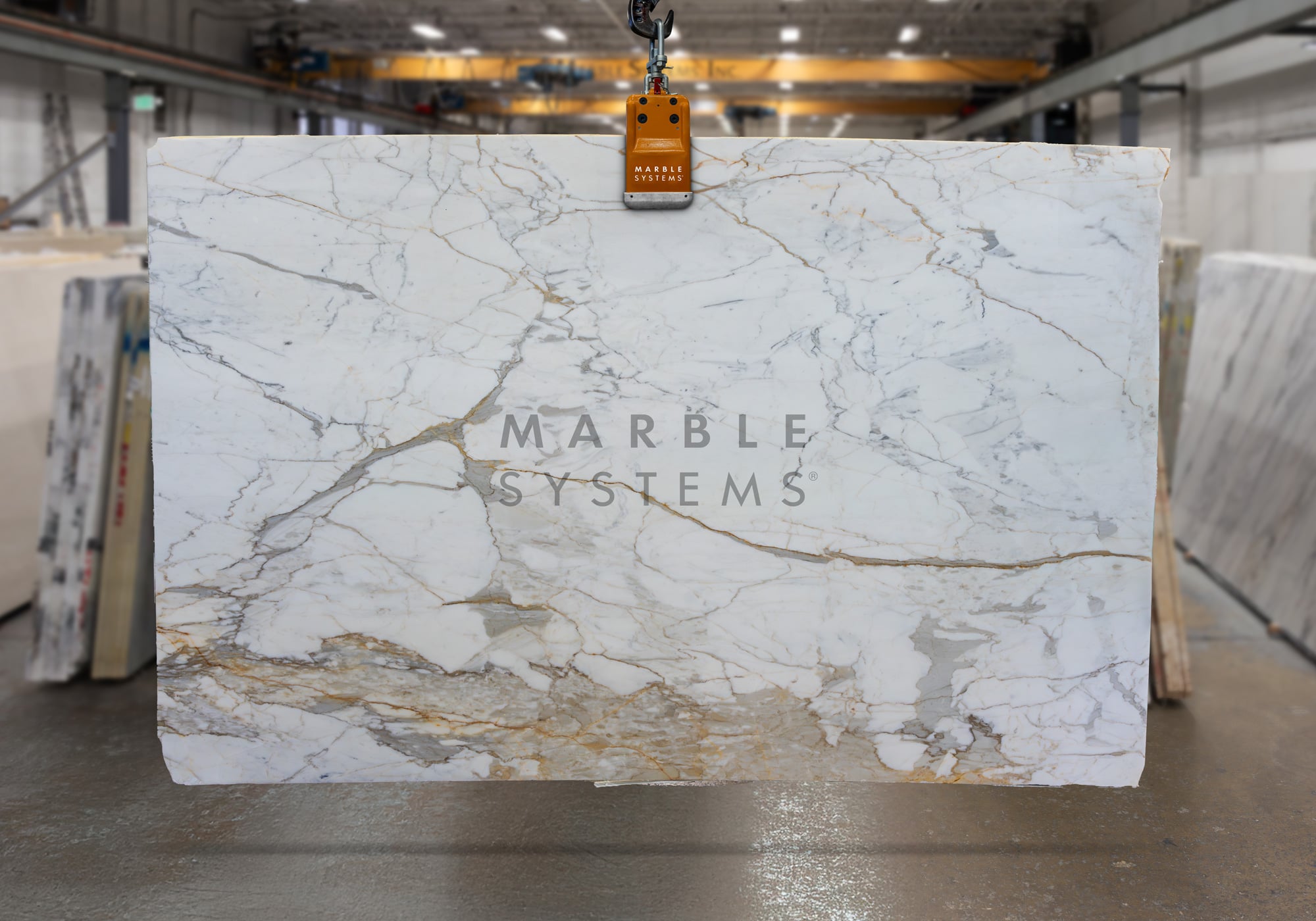 Calacatta Macchia Vecchia Honed Marble - Premium product showcase